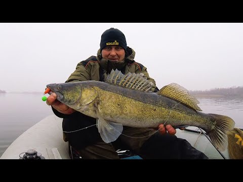 Видео: Он думал, я его не найду....но на ловца и зверь бежит...bogomaz05