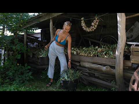 Видео: Уборка лука и летняя жара | Тихая деревенская жизнь молодой женщины