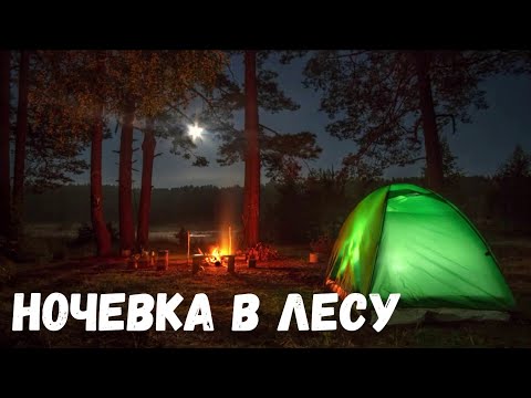 Видео: Ночевка в лесу. Страшная история.