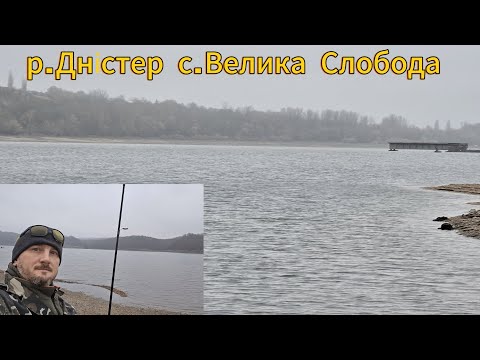 Видео: Рибалка з берега на р.Дністер.🎣👍 с.Велика Слобода старий міст.