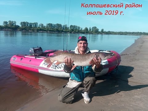 Видео: Рыбалка в Томской области | Колпашево  2019 | Обские трофеи