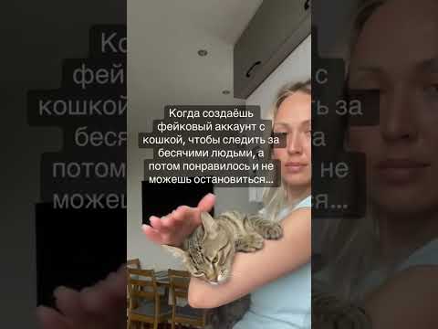 Видео: #моякошка #булочка #кот #котик