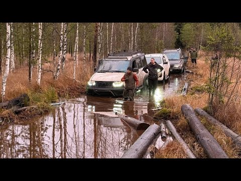 Видео: Сток внедорожники на лесовозной просеке. Санкт-Петербург на оффроуде. В поисках приключений.