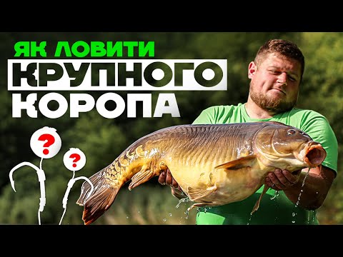 Видео: 🔥 Коропова Риболовля або Як Ловити Коропа БЕЗ ПРОБЛЕМ!  Секрети ТРОФЕЙНОГО КАРПФІШИНГУ 2022
