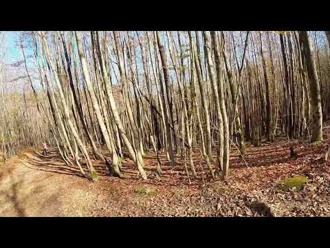 Видео: Фанагорийское-Подхребтовое через перевал Хазарова