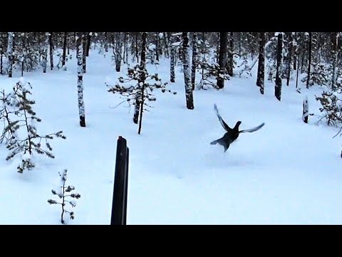 Видео: БАХ - БАХ... и мимо