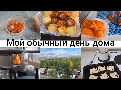 Видео: ДОМАШНИЙ ВЛОГ,  МОЙ ДЕЛА ПО ДОМУ!