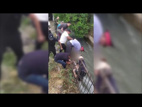 Видео: Сууга аккан кызды куткарган куруучу / 11.06.21 / НТС