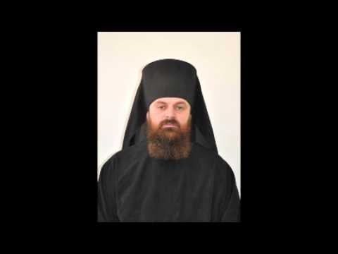 Видео: Протосинђел Стефан (Шарић) 2
