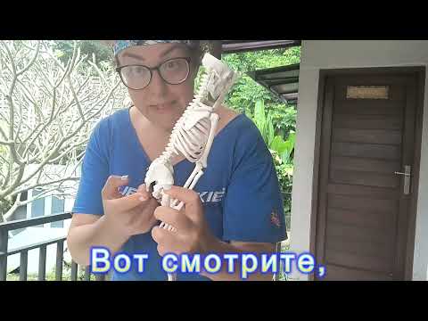 Видео: Подворачивание таза в практике: кто прав — учителя или тело?