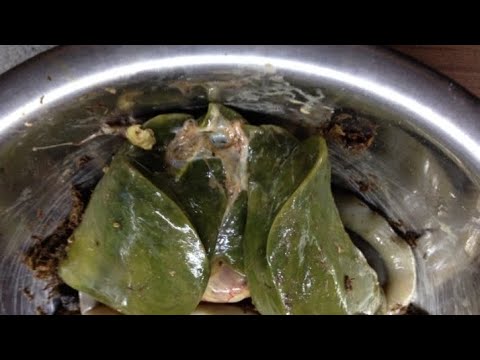 Видео: Болезни перепелов .Зеленая печень какие болезни скрывает и как избежать заражения