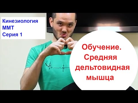 Видео: Научись мышечному тестированию с нуля. Прикладная кинезиология