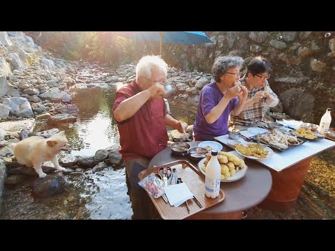 Видео: Куриное шоу в долине рядом с домом! (Оладьи из цуккини, кукуруза, арбуз) Рецепт