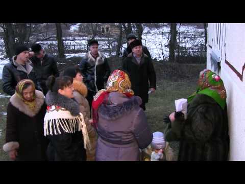 Видео: Білі Ослави колядують 2015 рік
