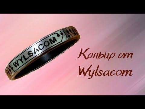 Видео: Платежные кольца Wylsacom PayRing