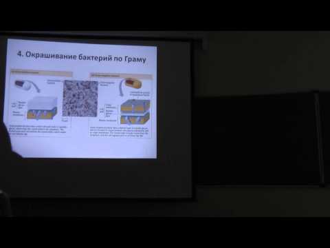 Видео: 2014.11.05 - Микробиология - Звонарева Е.С. Часть 1