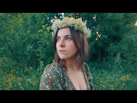 Видео: Середина лета в Швеции, спасение птиц, визиты в отделение неотложной помощи