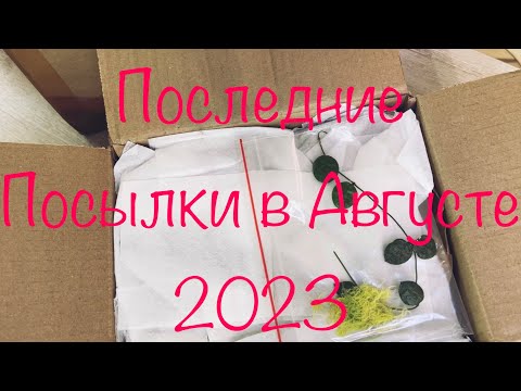 Видео: Последние посылки августа 2023 #тилландсии#алоказии#Удобрения