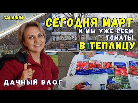 Видео: Сеем Рассаду Томатов в Теплицу / Мой Секретный Способ Вырашивания Рассады. @galabum
