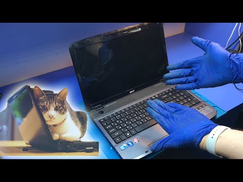 Видео: КОТ ПЕРЕПУТАЛ ЛОТОК С НОУТБУКОМ ACER 5740G / ПОШЕЛ ДЫМ! ЕСТЬ ЛИ ШАНС НА РЕМОНТ?