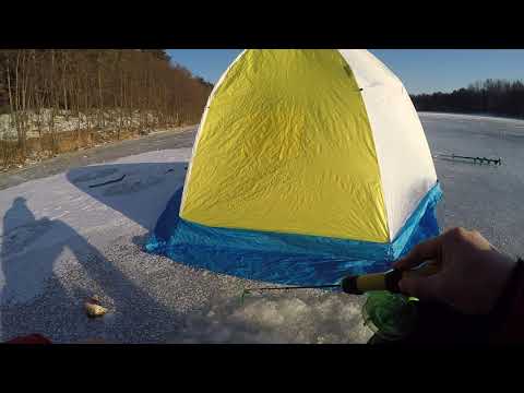 Видео: Рыбалка в Разнежье. Щука и окуни в протоке Волги Чебоксарского водохранилища