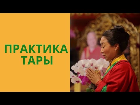 Видео: Значимость практики Тары