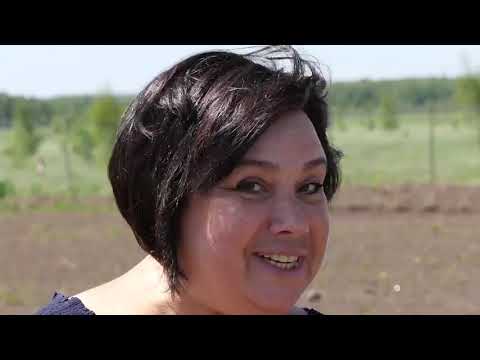 Видео: Ландшафт для Вас. Выпуск 1. Подготовка грунта к посадке растений. Ограждения. Как выбрать газон.