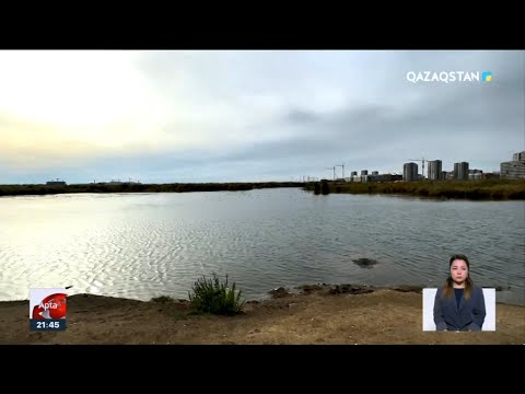 Видео: Қазақстандағы су мәселесі: Шешімі қандай?