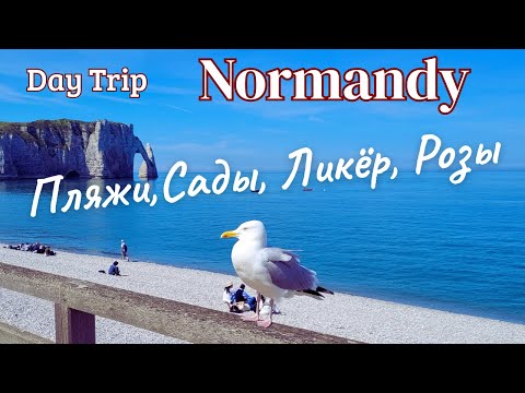 Видео: Нормандия. Этрета. Фекан. Деревня роз