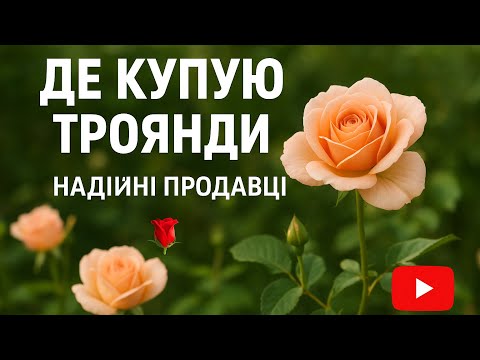 Видео: Надійні продавці троянд | Перевірені саджанці.