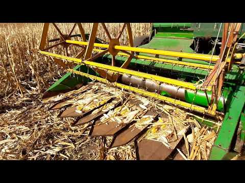 Видео: Volvo s830 уборка кукурузы