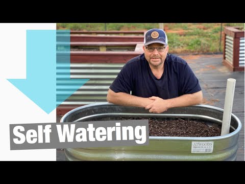 Видео: ЛУЧШАЯ самополивающаяся/впитывающая влагу оцинкованная металлическая приподнятая грядка