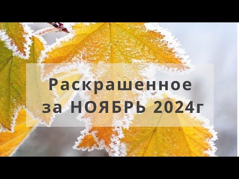 Видео: Раскрашенное за НОЯБРЬ 2024г в раскрасках антистресс ❤️