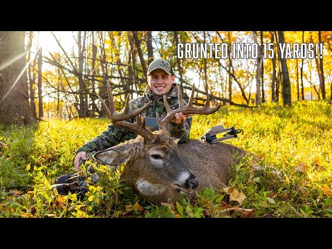 Видео: 5,5-летний олень хрюкнул на 15 ярдов! | ЭПИЧЕСКИЙ Смертельный выстрел