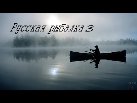 Видео: Кальмар гигантский РР3