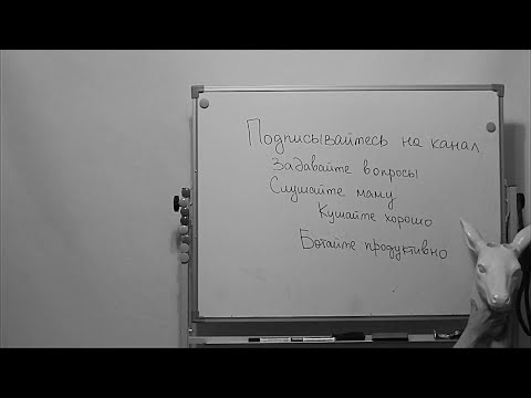 Видео: Cassiopeia | Информатика | ЕГЭ Задание 23 | "Логические уравнения" | Часть 2