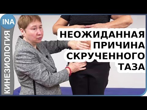 Видео: Дисфункция таза. Слабые мышцы таза. В чем причина? Прикладная кинезиолгия. Л.Ф.Васильева