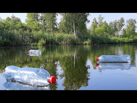 Видео: КАРАСЬ на БУТЫЛКИ! ПРЕТ КАК ТАНК!  Рыбалка в Подмосковье 2021.