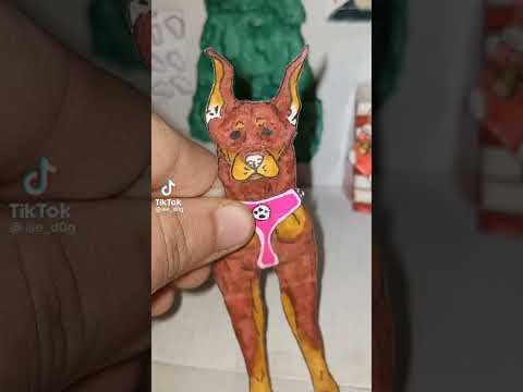 Видео: подборка из тт (бумажные собаки)