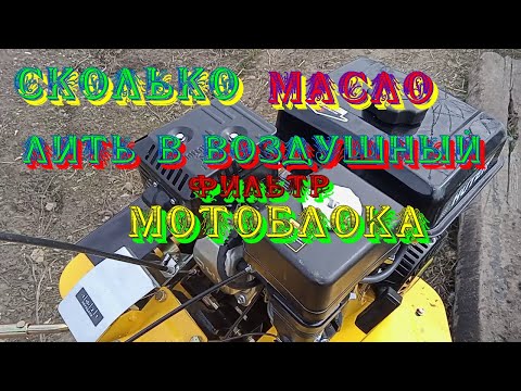 Видео: Сколько лить масло в воздушный фильтр мотоблока и для чего?
