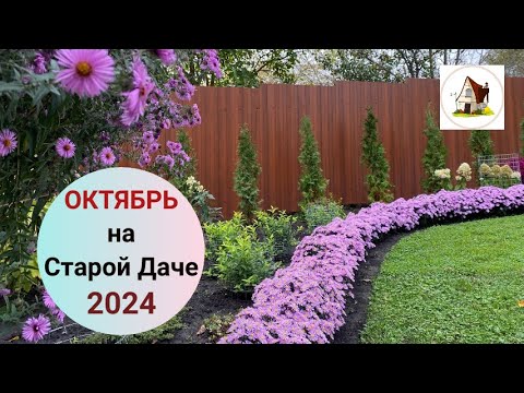 Видео: Старая Дача 6 октября 2024. Архив.