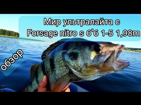 Видео: Мир ультралайта с Forsage nitro s 6,'6 1-5 гр. 1,98m. Обзор.