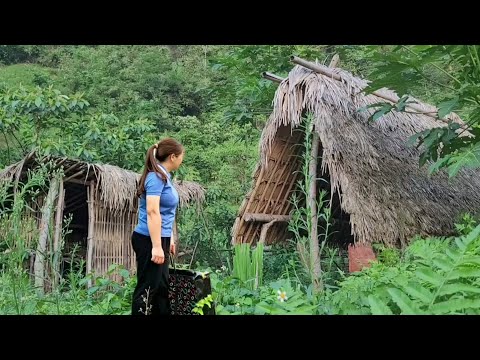 Видео: ПОЛНОЕ ВИДЕО: Бездомная мать-одиночка и заботы о приюте | @daianfarm
