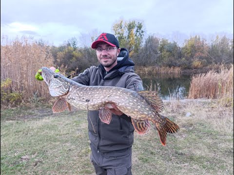 Видео: Все же иногда воблера бывают лучше силикона. Поймали мамку на полном ходу. Рыбалка с лодкой.