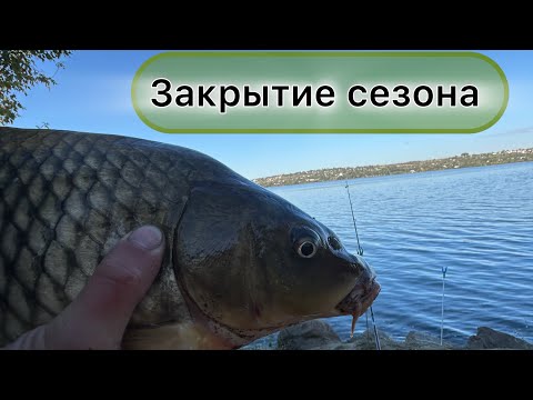 Видео: РЫБАЛКА С НОЧЕВКОЙ 2 СУТОК. КАРП УТЯНУЛ СПИННИНГ. ДИКИЙ ДНЕПР.