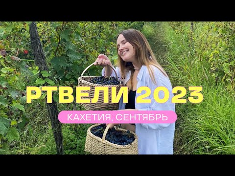 Видео: РТВЕЛИ 2023. Тбилиси - Кварели. Кахетия. Праздник сбора урожая