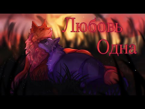 Видео: Коты Воители: Одна Любовь [Гран-Куражъ]