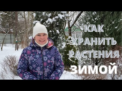 Видео: Как хранить растения, купленные зимой? Мой проверенный способ.