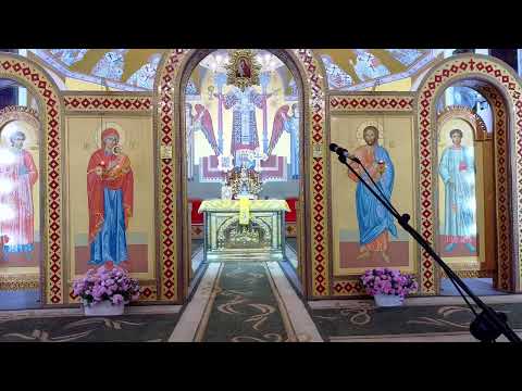 Видео: 10.11 Акафіст. Свт. Димитрію