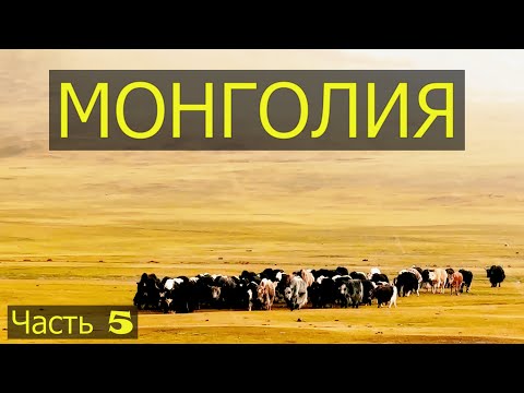 Видео: Монголия. Часть пятая